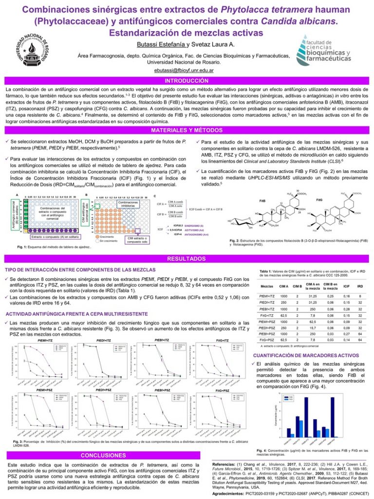 Read more about the article COMBINACIONES SINÉRGICAS ENTRE EXTRACTOS DE PHYTOLACCA TETRAMERA HAUMAN (PHYTOLACCACEAE) Y ANTIFÚNGICOS COMERCIALES CONTRA CANDIDA ALBICANS. ESTANDARIZACIÓN DE MEZCLAS ACTIVAS.