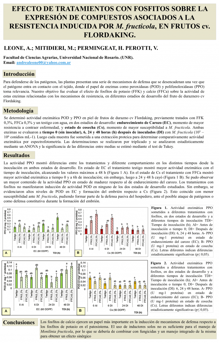 Read more about the article EFECTO DE LA INCORPORACIÓN DE ANTOCIANINAS MICROENCAPSULADAS EN YOGURES