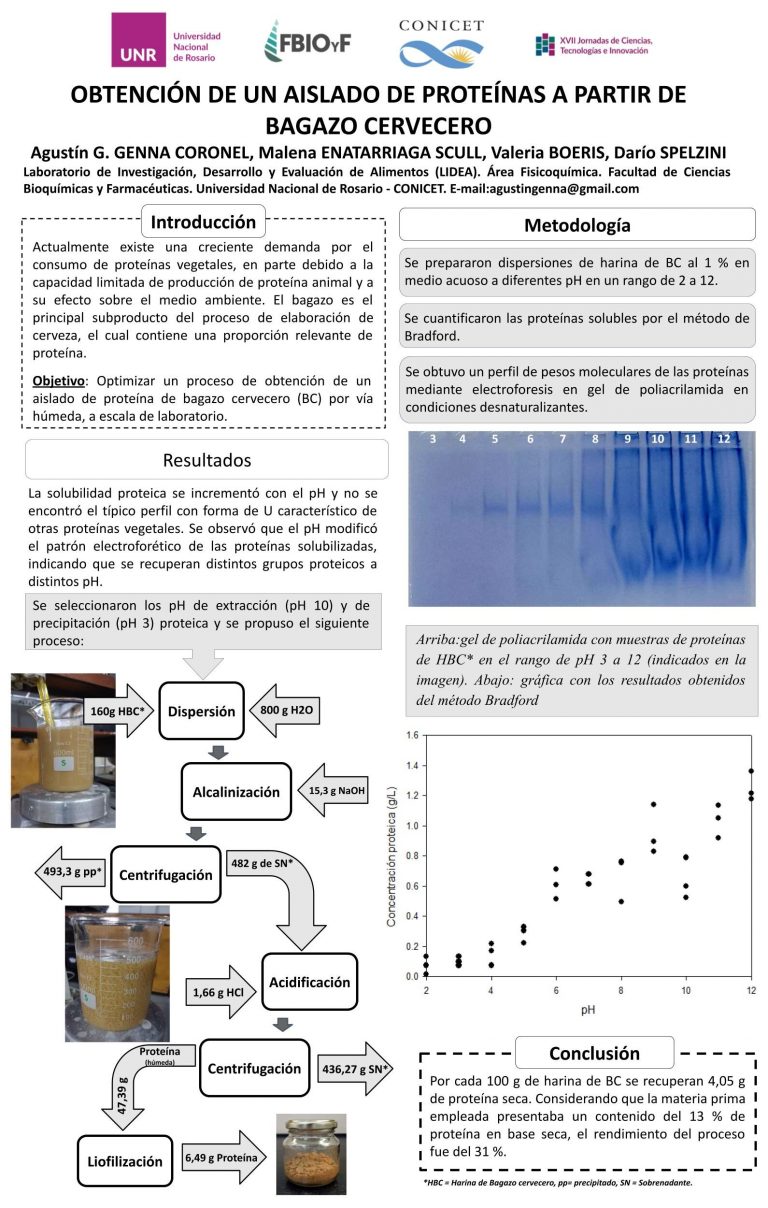 Read more about the article OBTENCIÓN DE UN AISLADO DE PROTEÍNAS A PARTIR DE BAGAZO CERVECERO