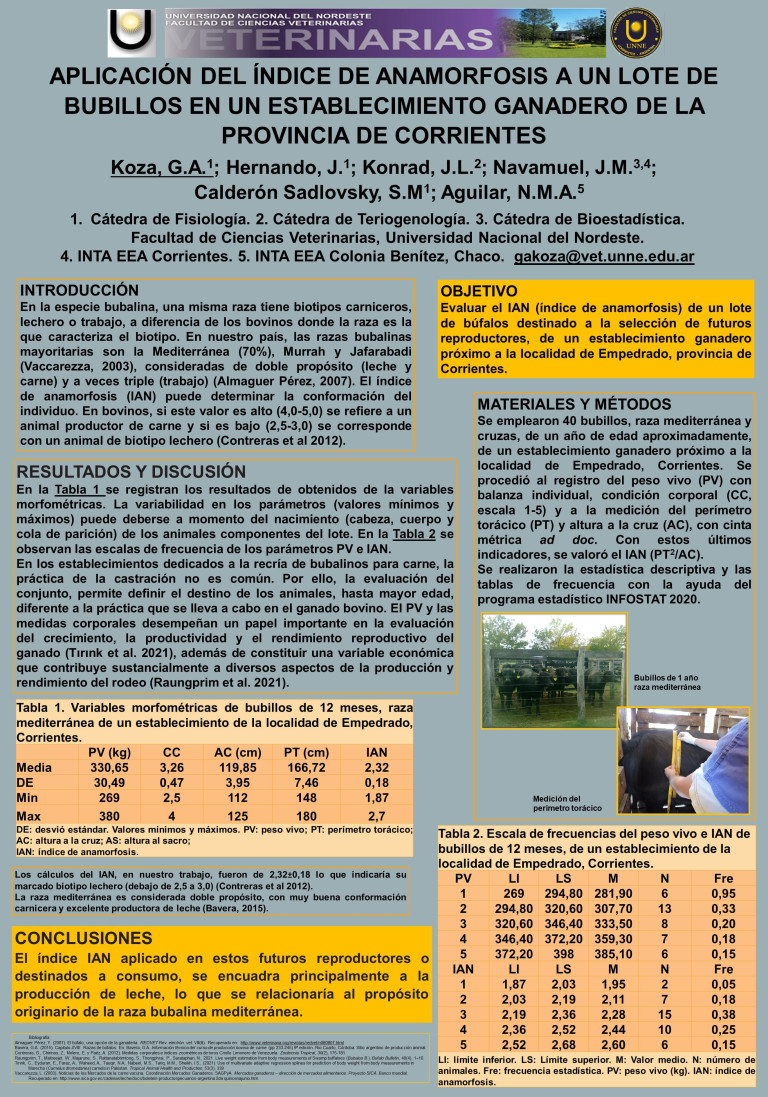 Read more about the article APLICACIÓN DEL ÍNDICE DE ANAMORFOSIS A UN LOTE DE BUBILLOS EN UN ESTABLECIMIENTO GANADERO DE LA PROVINCIA DE CORRIENTES