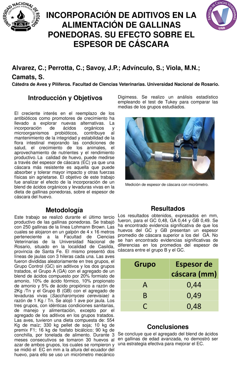 Read more about the article INCORPORACIÓN DE ADITIVOS EN LA ALIMENTACIÓN DE GALLINAS PONEDORAS. SU EFECTO SOBRE EL ESPESOR DE CÁSCARA