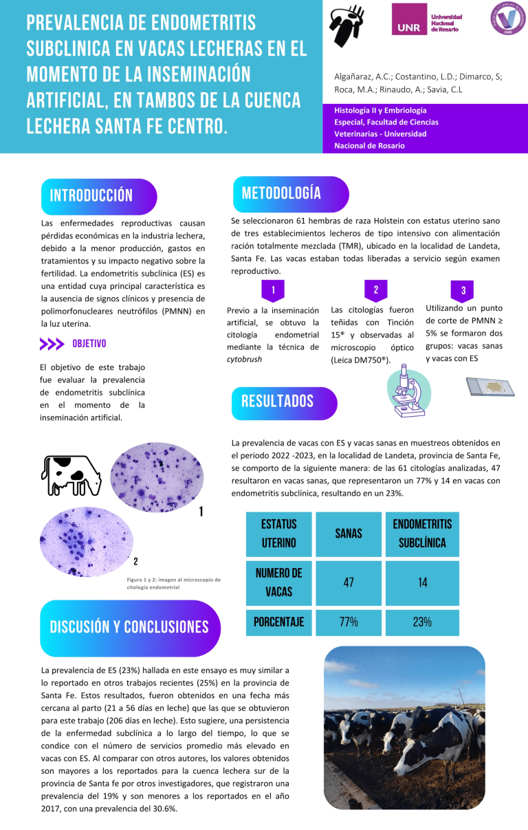 Read more about the article PREVALENCIA DE ENDOMETRITIS SUBCLINICA EN VACAS LECHERAS EN EL MOMENTO DE LA INSEMINACIÓN ARTIFICIAL, EN TAMBOS DE LA CUENCA LECHERA SANTA FE CENTRO.