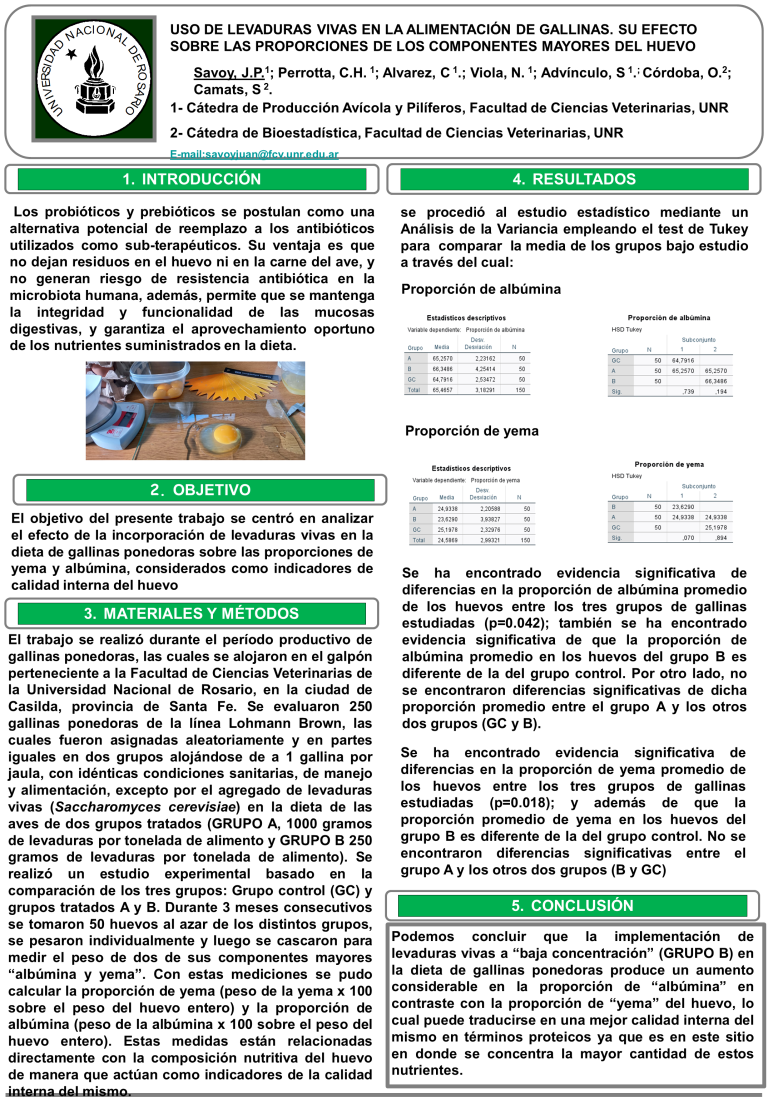 Read more about the article USO DE LEVADURAS VIVAS EN LA ALIMENTACIÓN DE GALLINAS. SU EFECTO SOBRE LAS PROPORCIONES DE LOS COMPONENTES MAYORES DEL HUEVO