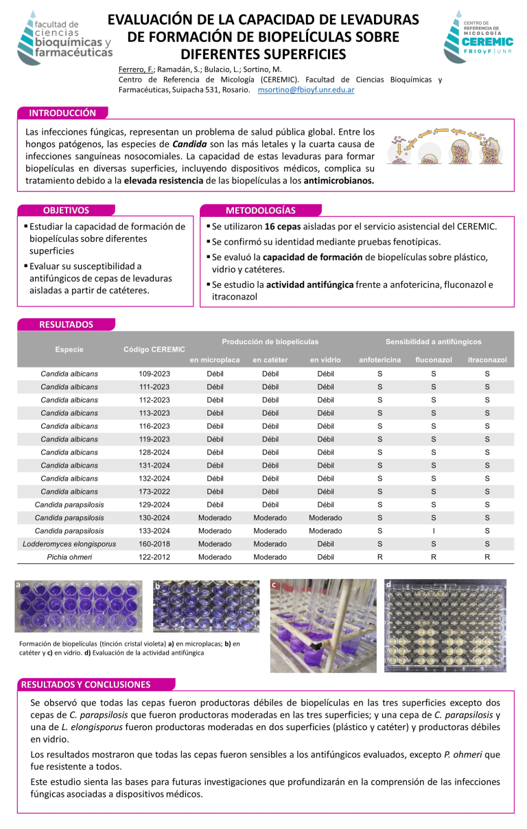 Read more about the article EVALUACIÓN DE LA CAPACIDAD DE LEVADURAS DE FORMACIÓN DE BIOPELÍCULAS SOBRE DIFERENTES SUPERFICIES