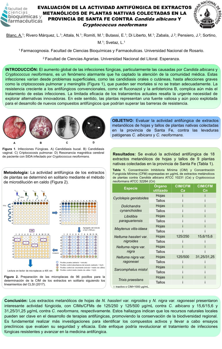 Read more about the article EVALUACIÓN DE LA ACTIVIDAD ANTIFÚNGICA DE EXTRACTOS METANÓLICOS DE PLANTAS NATIVAS COLECTADAS EN LA PROVINCIA DE SANTA FE CONTRA Candida albicans Y Cryptococcus neoformans