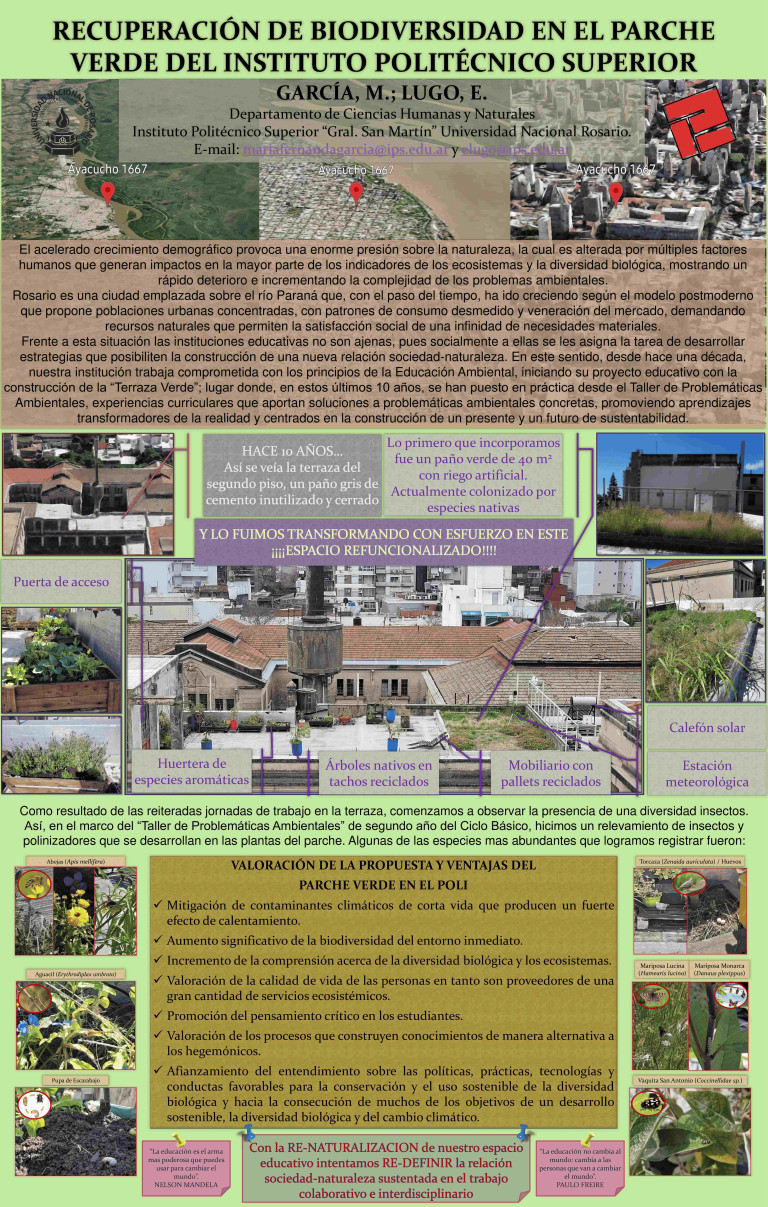 Read more about the article RECUPERACIÓN DE BIODIVERSIDAD EN EL PARCHE VERDE DEL INSTITUTO POLITÉCNICO SUPERIOR