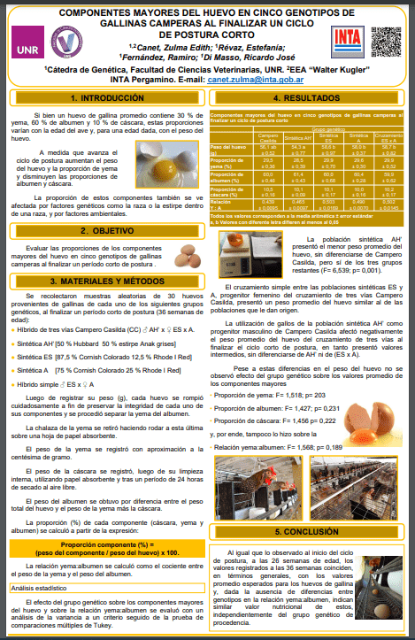 Read more about the article COMPONENTES MAYORES DEL HUEVO EN CINCO GENOTIPOS DE GALLINAS CAMPERAS AL FINALIZAR UN CICLO DE POSTURA CORTO