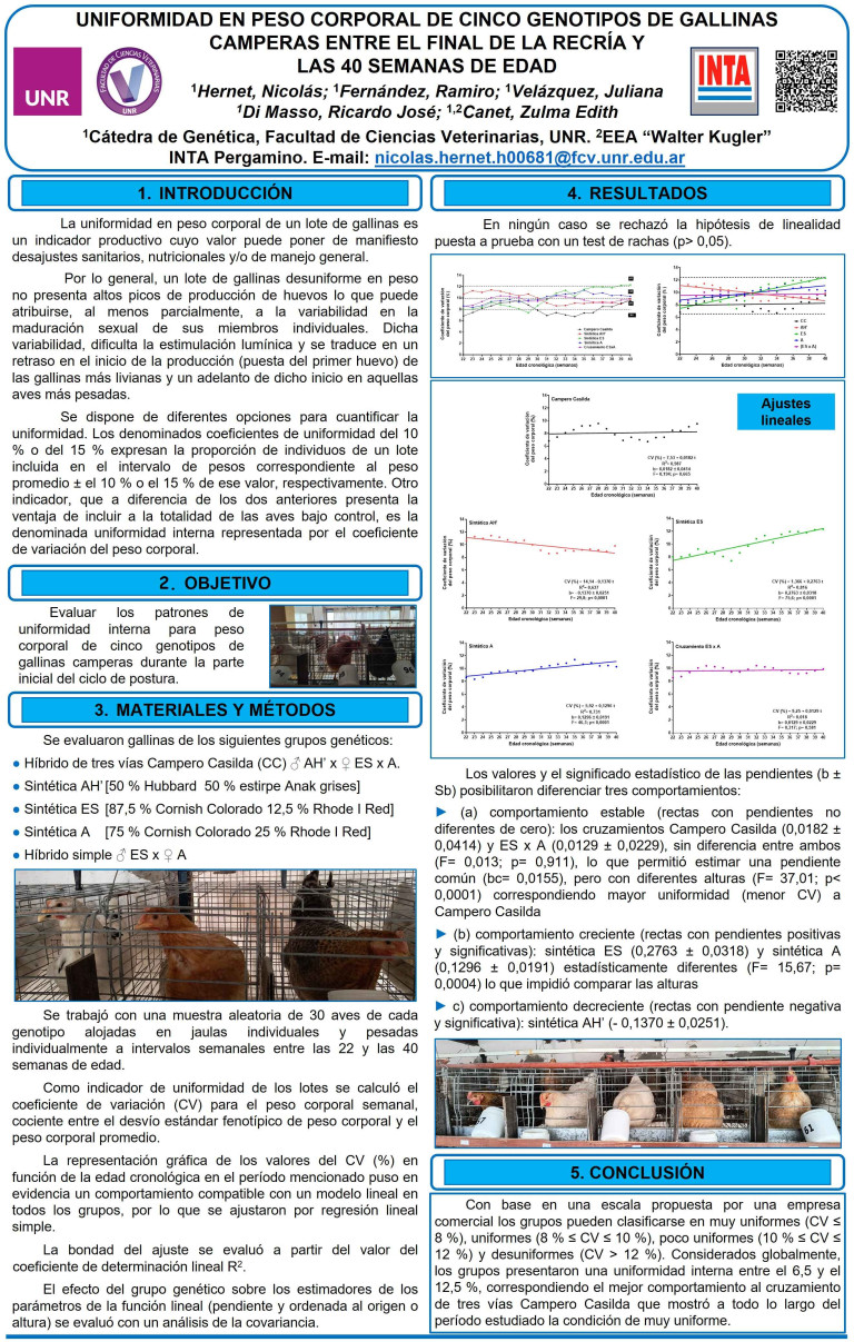 Read more about the article UNIFORMIDAD EN PESO CORPORAL DE CINCO GENOTIPOS DE GALLINAS CAMPERAS ENTRE EL FINAL DE LA RECRÍA Y LAS 40 SEMANAS DE EDAD