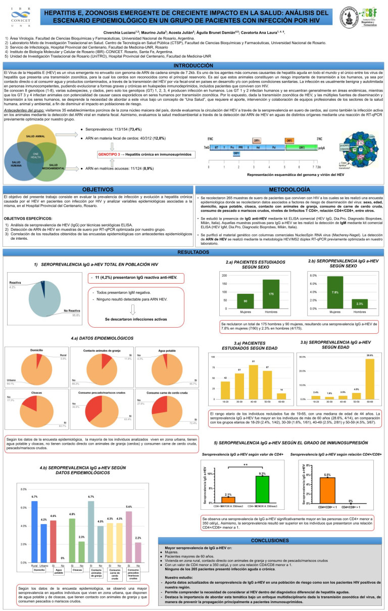 Read more about the article HEPATITIS E, ZOONOSIS EMERGENTE DE CRECIENTE IMPACTO EN LA SALUD: ANÁLISIS DEL ESCENARIO EPIDEMIOLÓGICO EN UN GRUPO DE PACIENTES CON INFECCIÓN POR HIV