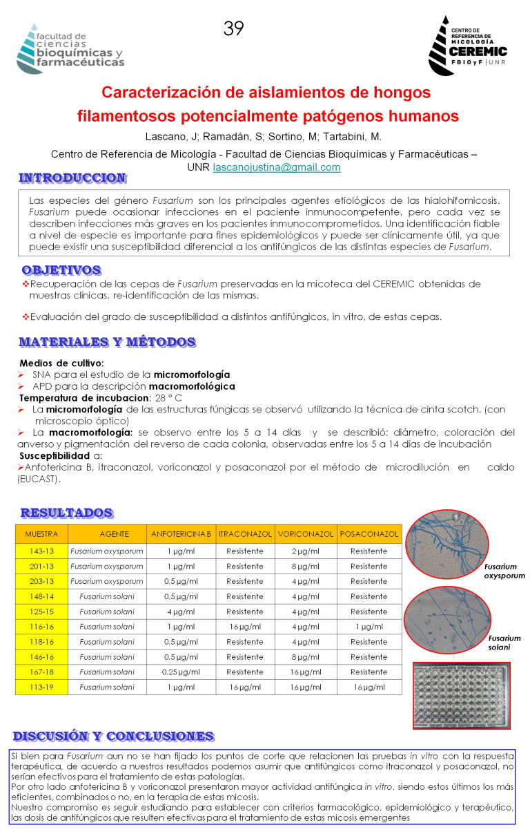 Read more about the article CARACTERIZACIÓN Y EVALUACIÓN DEL PERFIL DE SENSIBILIDAD ANTIFÚNGICA DE ESPECIES DE FUSARIUM