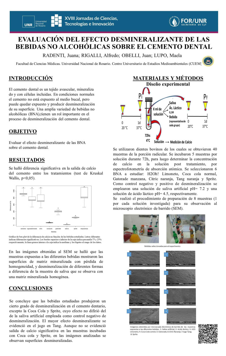 Read more about the article EVALUACIÓN HISTOMORFOMÉTRICA Y BIOMECÁNICA DE HUESOS LARGOS EN RATAS EXPUESTAS A INFUSIONES DE YERBA MATE DESDE LA GESTACIÓN HASTA LA POST-LACTANCIA.