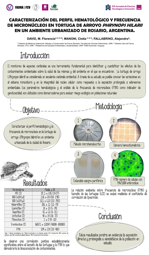 Lee más sobre el artículo Caracterización del perfil hematológico y frecuencia de micronúcleos en tortuga de arroyo Phrynops hilarii en un ambiente urbanizado de Rosario, Argentina