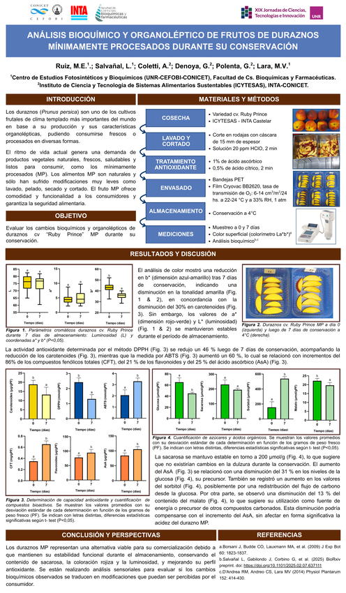 Lee más sobre el artículo ANÁLISIS BIOQUÍMICO y ORGANOLÉTICO DE FRUTOS DE DURAZNOS MÍNIMAMENTE PROCESADOS DURANTE SU CONSERVACIÓN