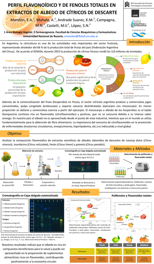 Lee más sobre el artículo PERFIL FLAVONOÍDICO Y DE FENOLES TOTALES EN EXTRACTOS DE ALBEDO DE CÍTRICOS DE DESCARTE.
