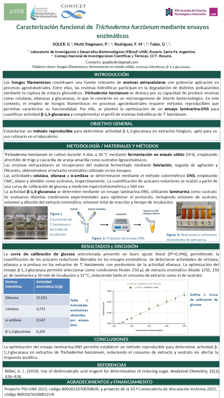 Lee más sobre el artículo CARACTERIZACIÓN FUNCIONAL DE TRICHODERMA HARZIANUM MEDIANTE ENSAYOS ENZIMÁTICOS