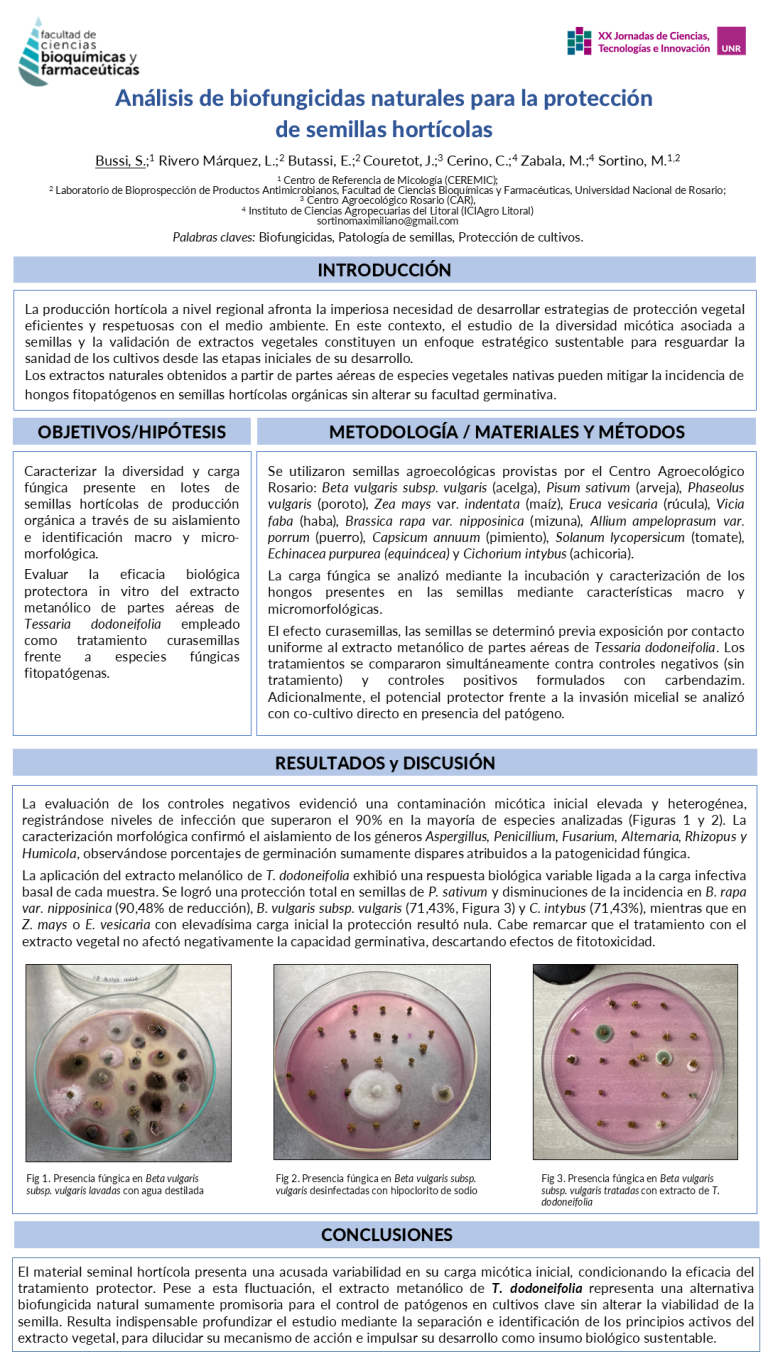 Lee más sobre el artículo ANÁLISIS DE BIOFUNGICIDAS NATURALES PARA LA PROTECCIÓN DE SEMILLAS HORTÍCOLAS