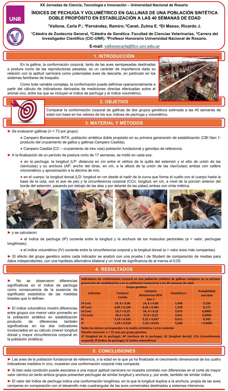 Lee más sobre el artículo ÍNDICES DE PECHUGA Y VOLUMÉTRICO EN GALLINAS DE UNA POBLACIÓN SINTÉTICA DOBLE PROPÓSITO EN ESTABILIZACIÓN A LAS 40 SEMANAS DE EDAD