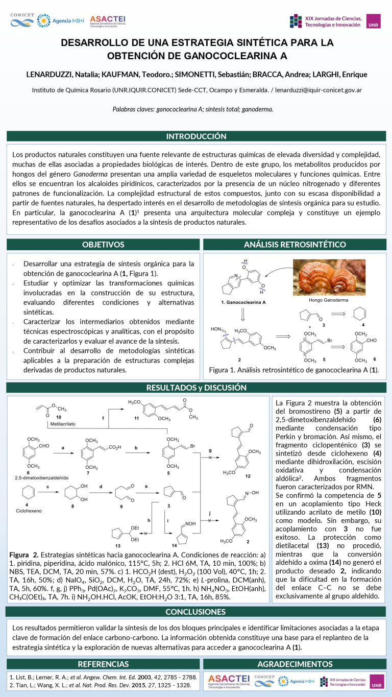 Lee más sobre el artículo DESARROLLO DE UNA ESTRATEGIA SINTÉTICA PARA LA OBTENCIÓN DE GANOCOCLEARINA A