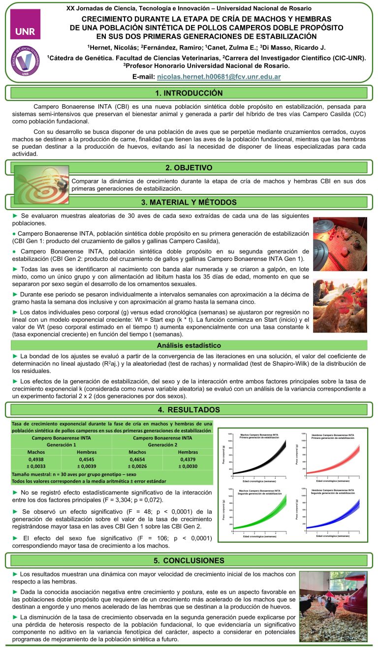 Lee más sobre el artículo CRECIMIENTO DURANTE LA ETAPA DE CRÍA DE MACHOS Y HEMBRAS DE UNA POBLACIÓN SINTÉTICA DE POLLOS CAMPEROS DOBLE PROPÓSITO EN SUS DOS PRIMERAS GENERACIONES DE ESTABILIZACIÓN