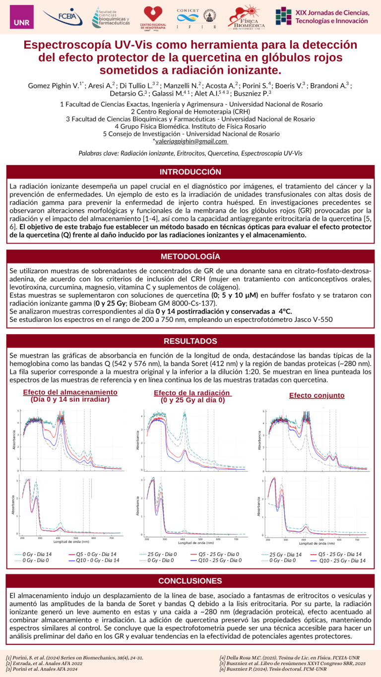 Lee más sobre el artículo ESPECTROSCOPÍA UV-VIS COMO HERRAMIENTA PARA LA DETECCIÓN DEL EFECTO PROTECTOR DE LA QUERCETINA EN GLÓBULOS ROJOS SOMETIDOS A RADIACIÓN IONIZANTE.