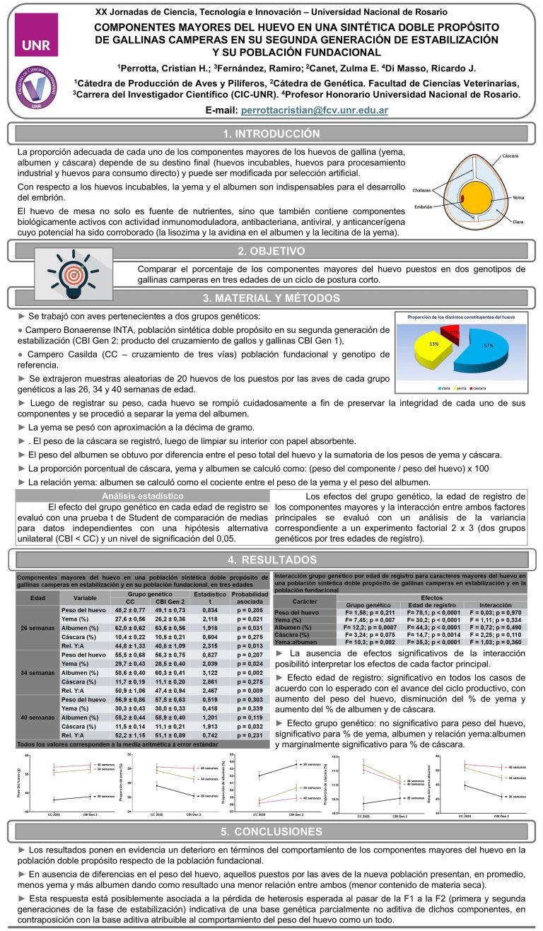 Lee más sobre el artículo COMPONENTES MAYORES DEL HUEVO EN UNA SINTÉTICA DOBLE PROPÓSITO DE GALLINAS CAMPERAS EN SU SEGUNDA GENERACIÓN DE ESTABILIZACIÓN Y SU POBLACIÓN FUNDACIONAL